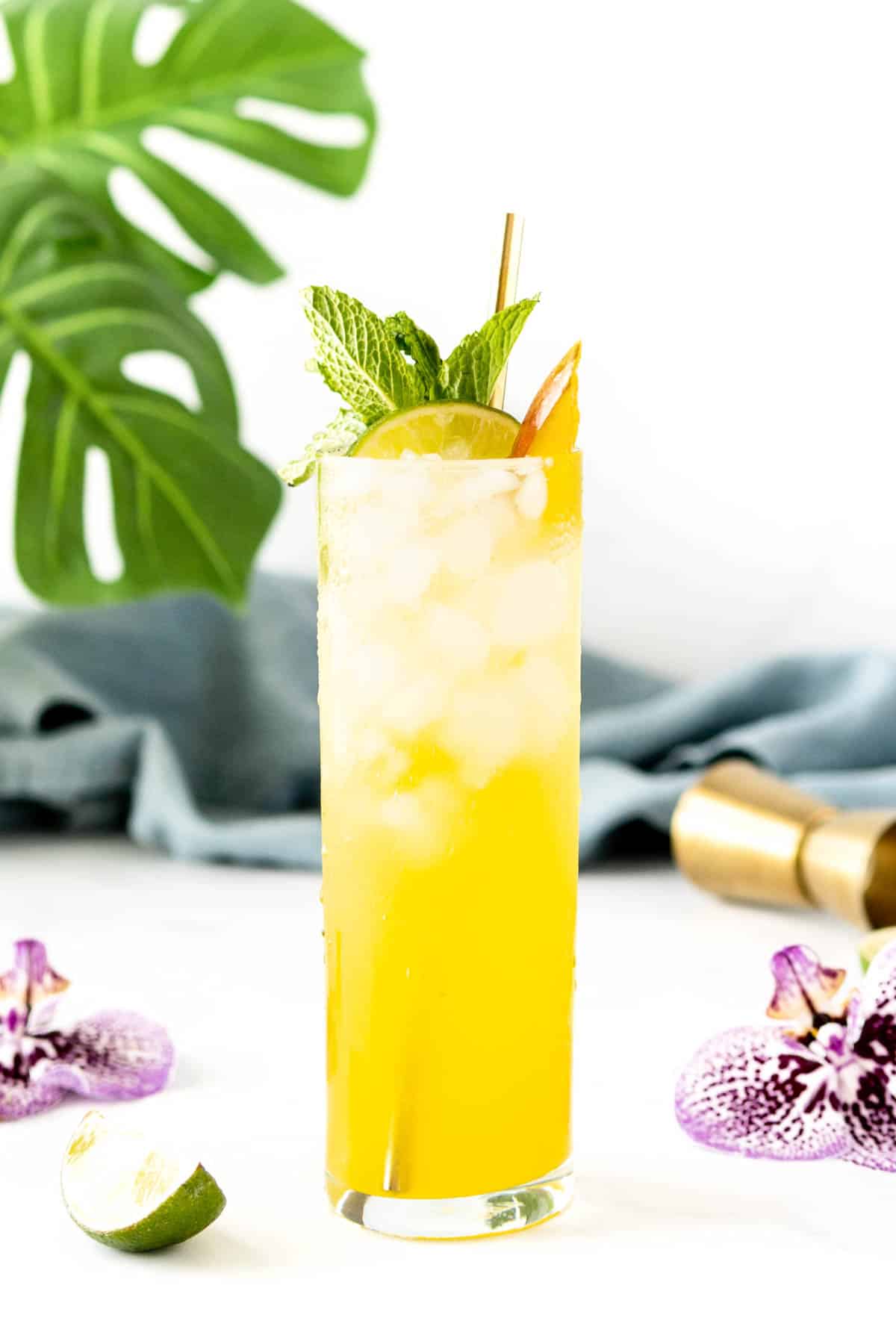 Mojitos tropicales